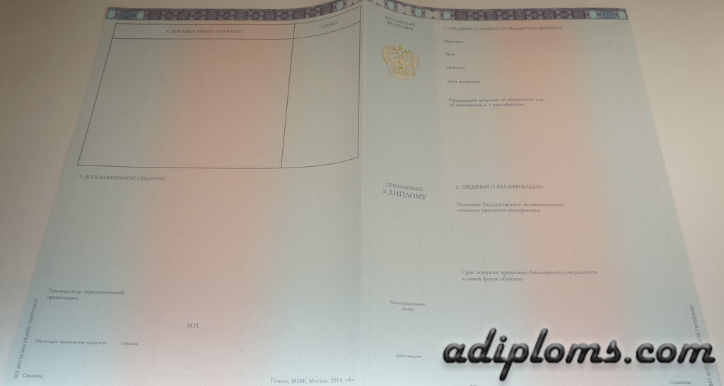 Диплом специалиста 2014-2026 Фото